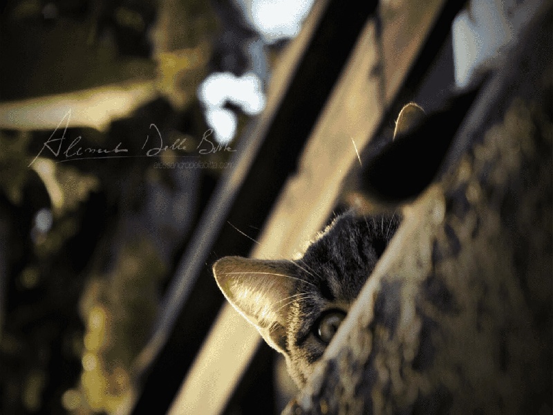 试管移植前开药郭仲杰试管36岁试管前调理