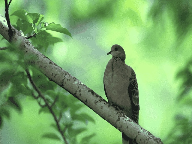 郑州惜缘试管代生机构：怀二胎孕吐反应特大，和孕妇自身以及胎儿都有关